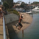 A youth jumps from the Lido Bridge as friends watch from below, one videoing, and others wait to take their turn. Residents near the bridge have noted a sharp upturn the illegal jumping in recent years. Photo by Eric Longabardi