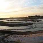 Going Green: Reflections on Water Conservation for Earth Day – April 22