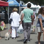 A dog at the CdM Farmers Market in summer, 2012
