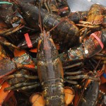 6th Annual Lobsterfest Comes to Newport Dunes August 10