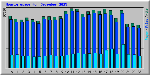 Hourly usage for December 2025