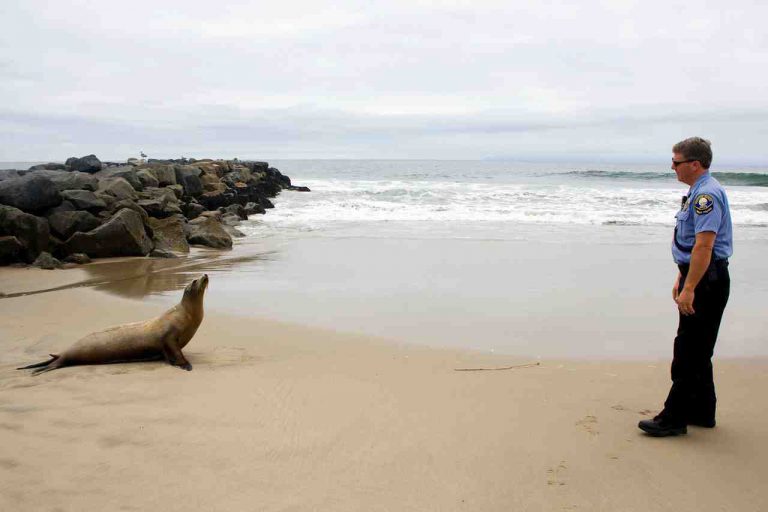 Newport News Animal Control - animalxc Newport News Animal Control - animalxc