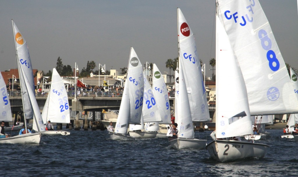sail-rose1