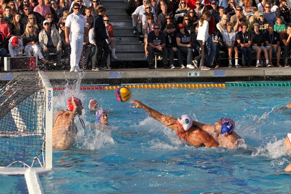 polo-shot1-web