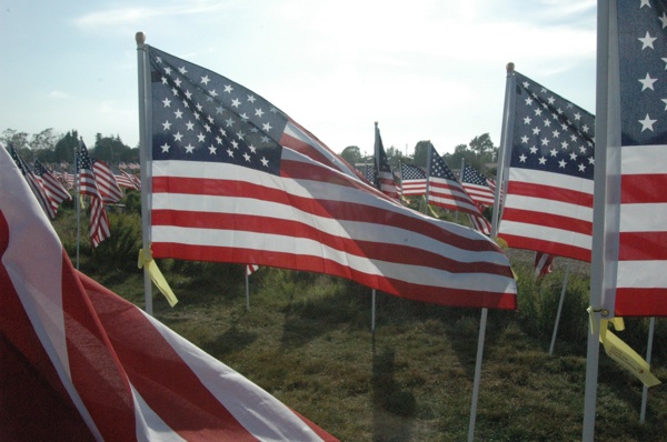 zcol-lynn-flags-web