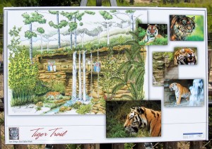 tigerboy3
