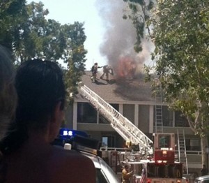 fire1-crop