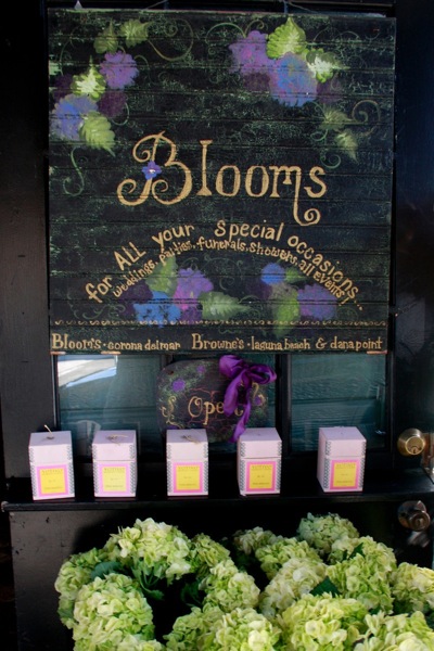 zblooms1-web