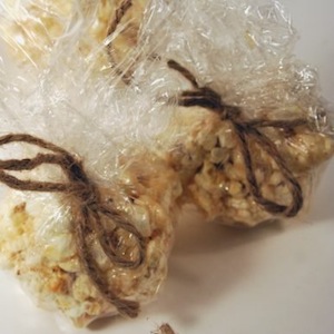 zcol-lynn-popcornballs