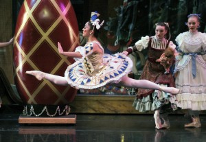 Nutcracker photo