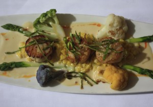 Scallops and Risotto