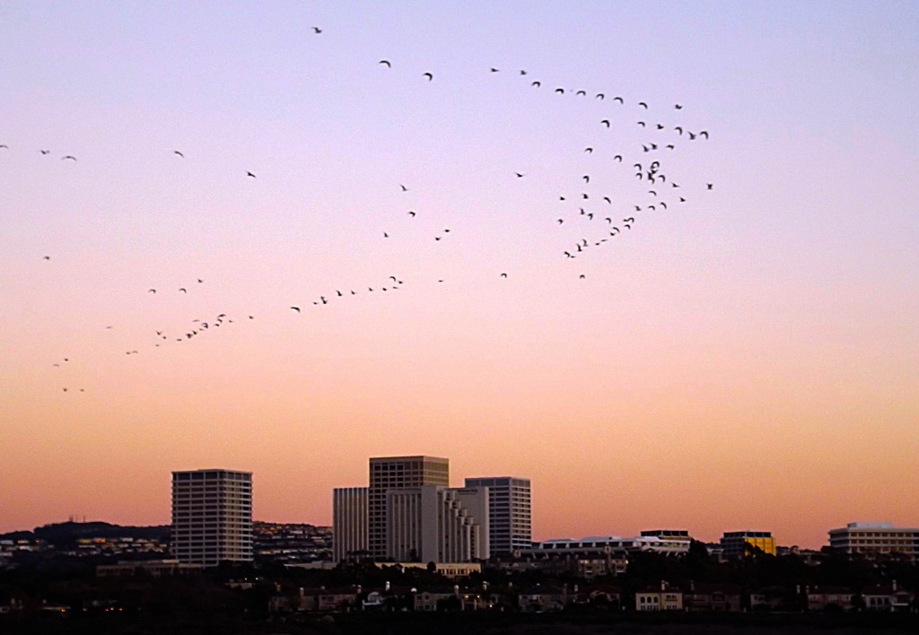 Going South — Photo by Kellen Givens