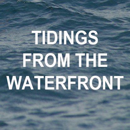 Weather or yacht - newport beach news