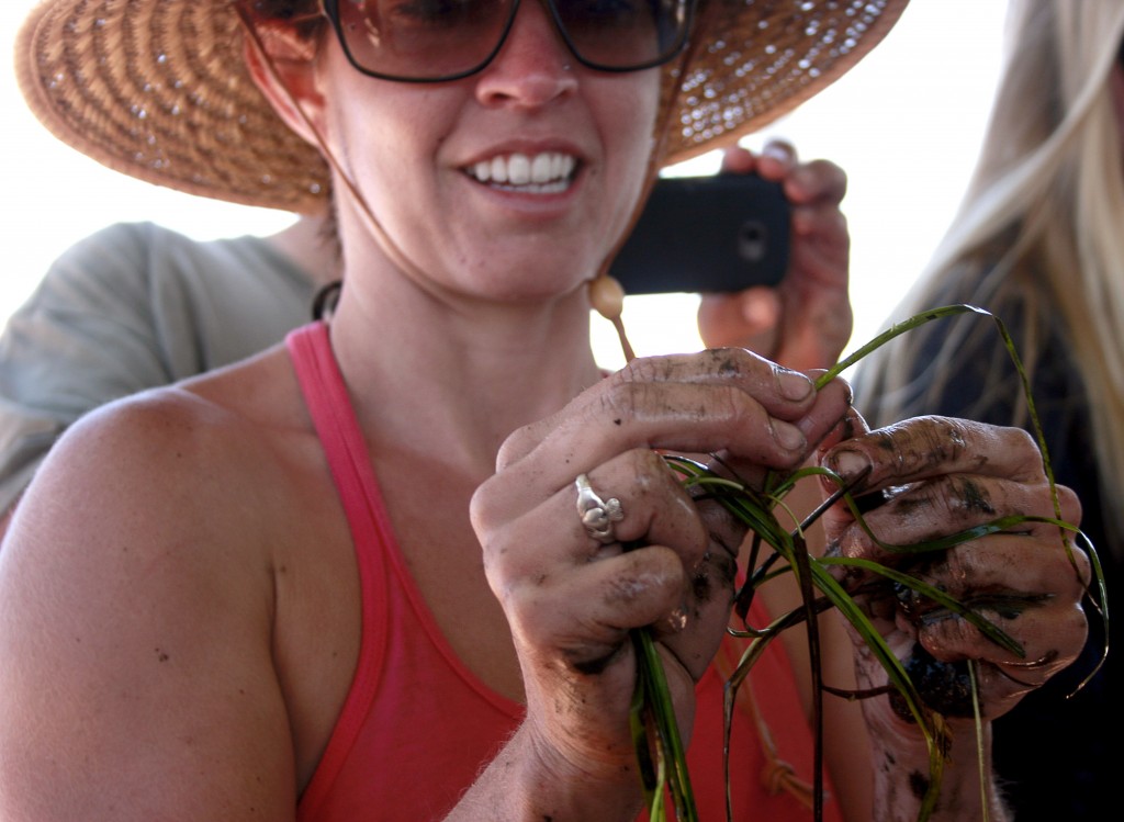 Amanda Bird, the Newport Back Bay Eelgrass Project coordinator, explains part of a blade of eelgrass to the group of volunteers last June. — Photo by Sara Hall