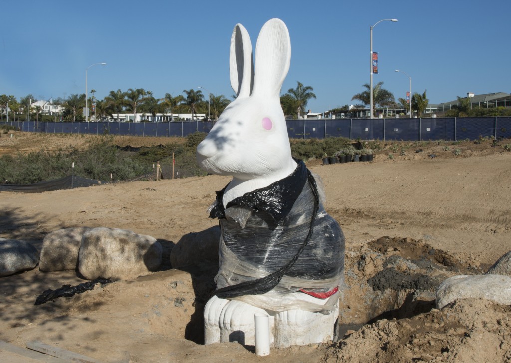 The first rabbit to be installed on the new civic center grounds. — Photo by Charles Weinberg