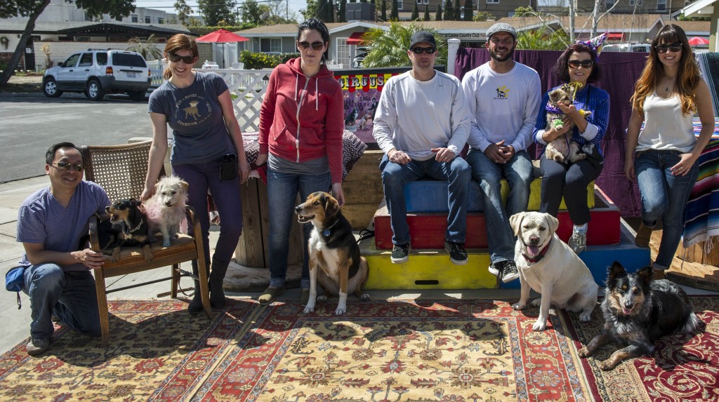 The entire dog circus class (humans and canines, left to right): Thanh Nguyen, Flor, Paisley, Tracy Hughes, Jaclyn Petersen, Baxter, Jeff Sheets, trainer Cary Petersen, Cooper, Kay Kendzora with Carlino, Dusty Girl, and Amanda Knost.