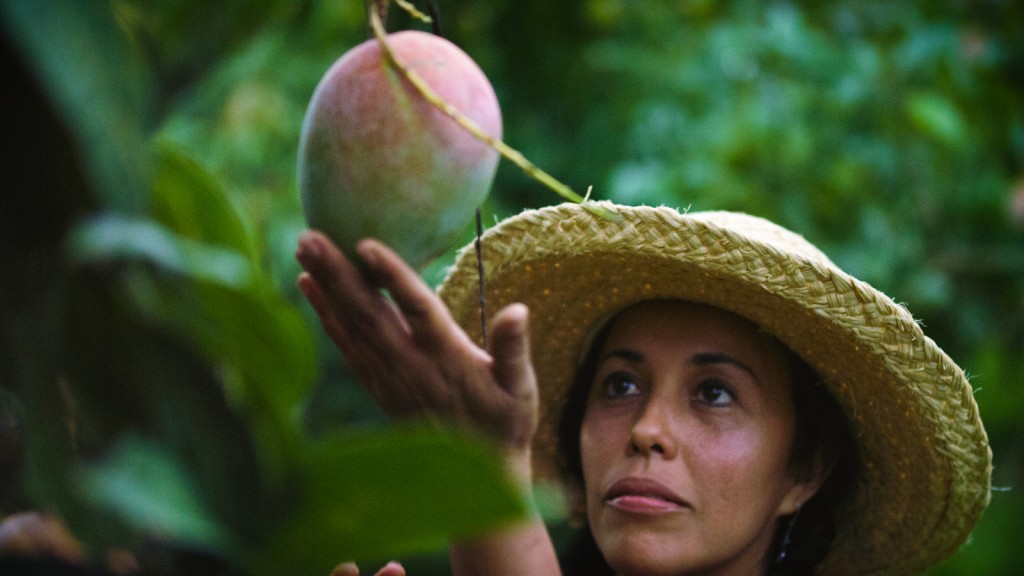 'The Fruit Hunters' Documentary Profiles Exotic Fruits Newport Beach News