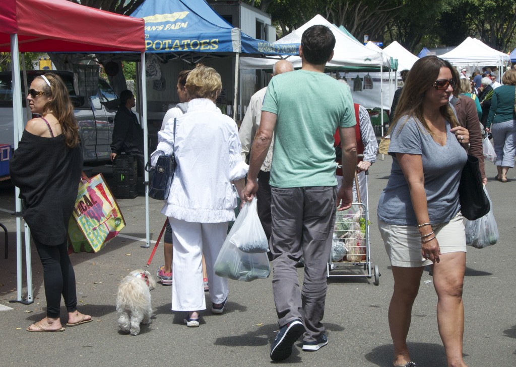 A dog at the CdM Farmers Market in summer, 2012