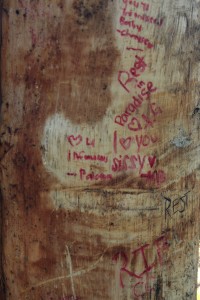 Visitors signed the tree involved in the accident.