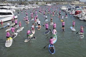 SUP boarders make their way in between boats in the bay.