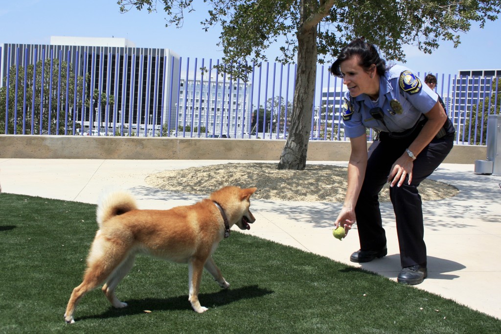 Animal Control Officer Valerie Schomburg tosses a tennis ball for Raegan at the new dog park on Saturday. Schomburg.and another animal control officer were on hand at the park to asnwer questions and introduce residents to the dog park. — Photo by Sara Hall