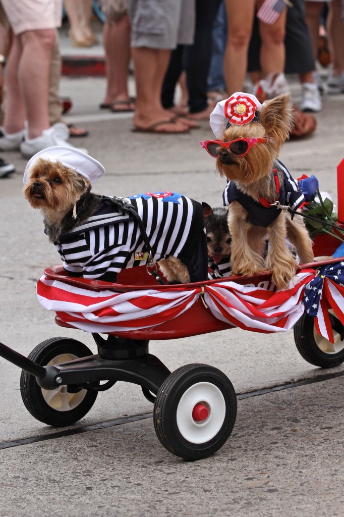 patroit parade dogs1_Jim