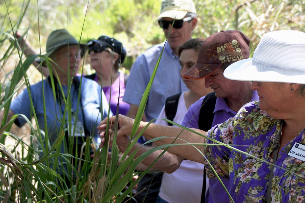 The group of blind and visually impaired adults, along with volunteers from the Braille Institute and Crystal Cove Alliance, feel some brush along the trail on Wednesday.