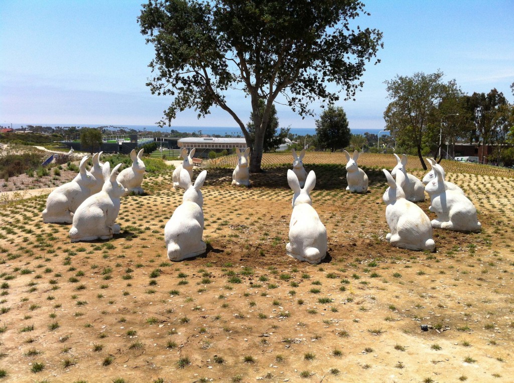 Rabbits waiting for you! — Photo by Walter Wallach