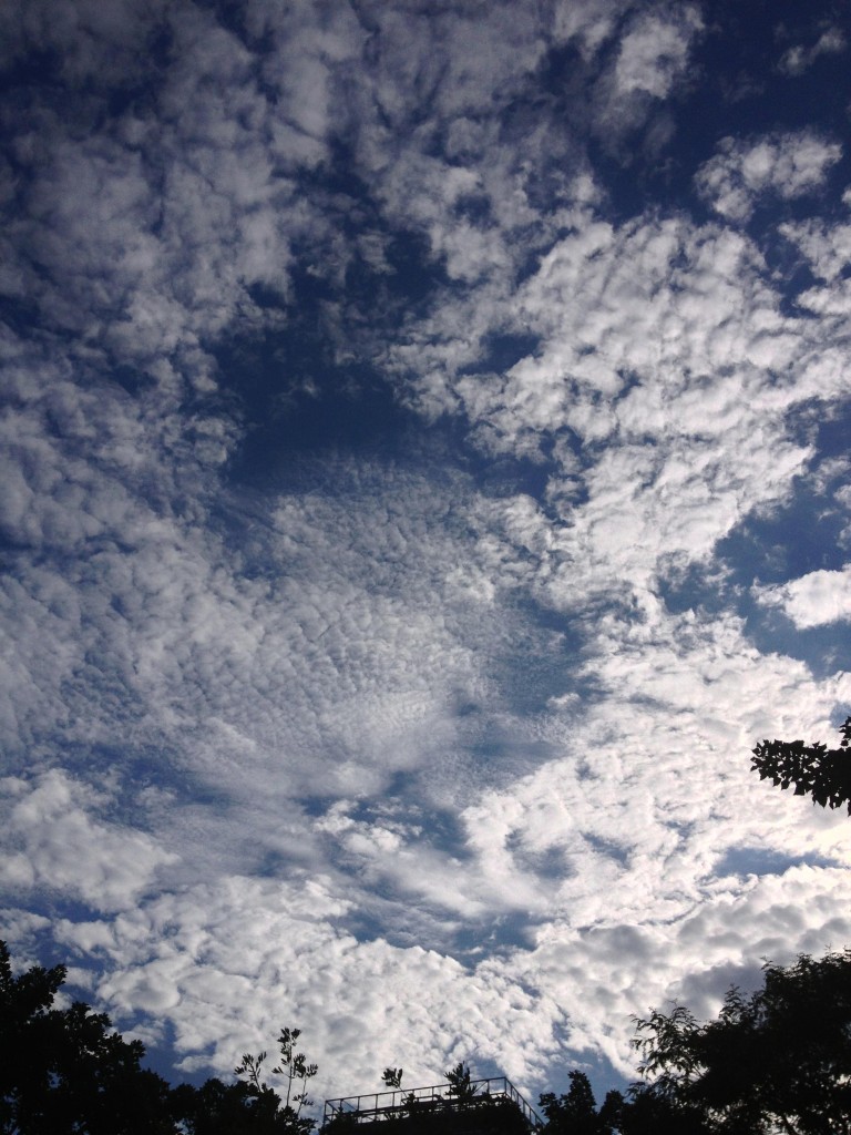 Summer Clouds — Photo by Deb Pirdy