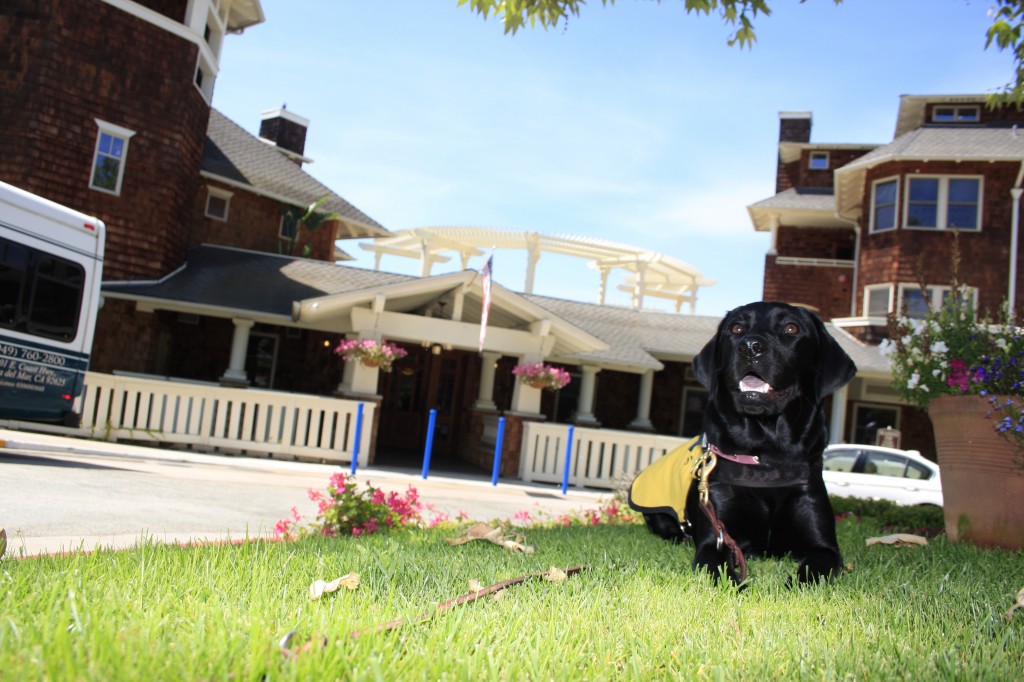 Raja at Crown Cove.