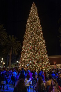 The 90-foot fir is lit up in the Neiman Marcus-Bloomingdale’s Courtyard as spectators enjoy the festivities.