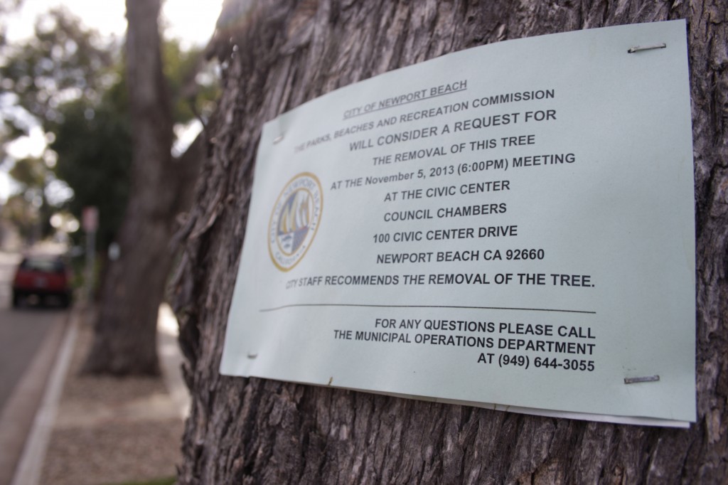 A sign posted on the tree at 621 Poppy Avenue. — Photo by Sara Hall