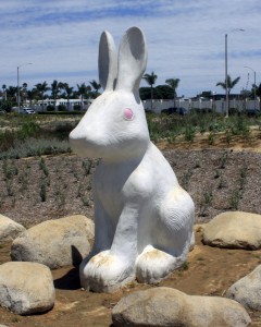 Feb: More than a dozen rabbit figures were installed in the new Civic Center park
