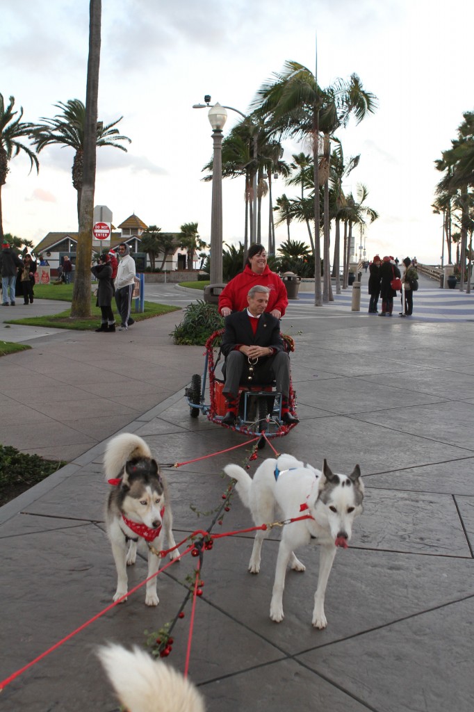 Councilman Mike Henn arrives at the Christmas at the Beach event in Balboa Village on Dec. 7 in a cart pulled by sled dogs. Families enjoyed sled rides, arts and crafts, a visit from santa and more. Many of the activities at the free event were moved inside ExplorOcean due to the weather. — Photo by Jim Collins