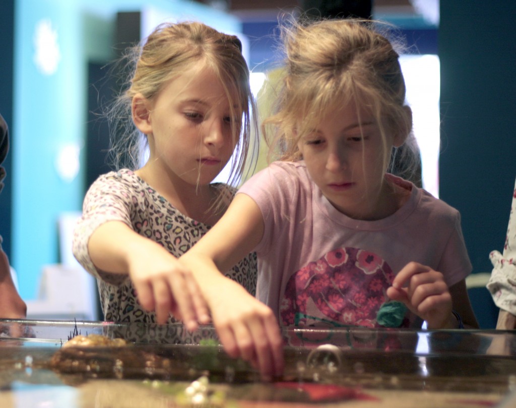 Kids have fun with the Touch Tank at Explor Ocean Wednesday after they painted storefront windows around town.