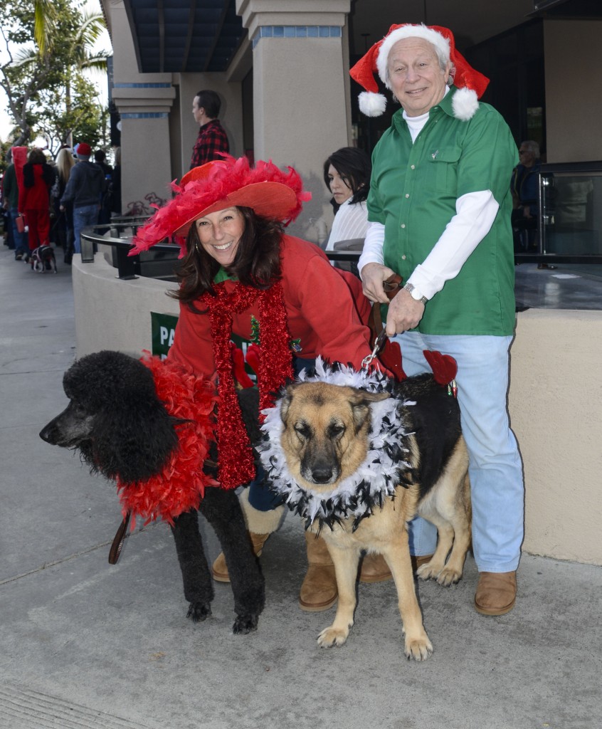 Pooch Parents enjoying the Walk