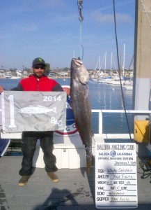 balboa angling