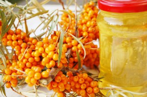 sea_buckthorn_berry