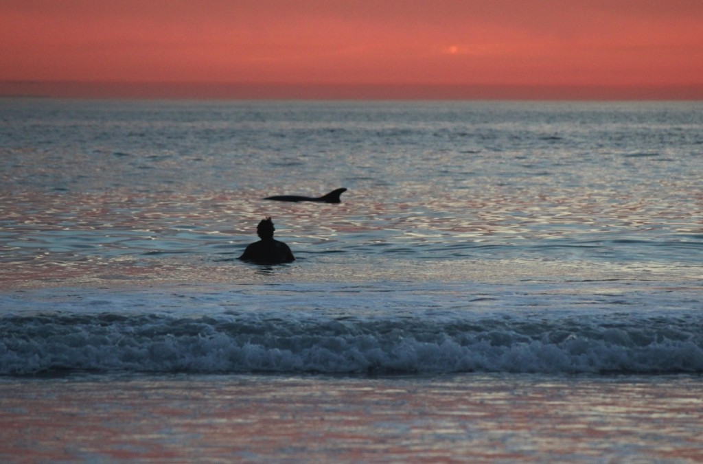 Surfing Buddies — Photo by Perri Wooding