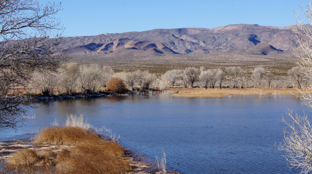Pahranagat Spring Lakes