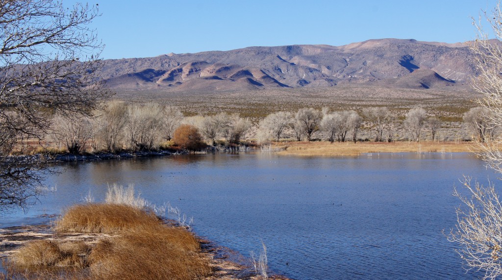 Pahranagat Spring Lakes 