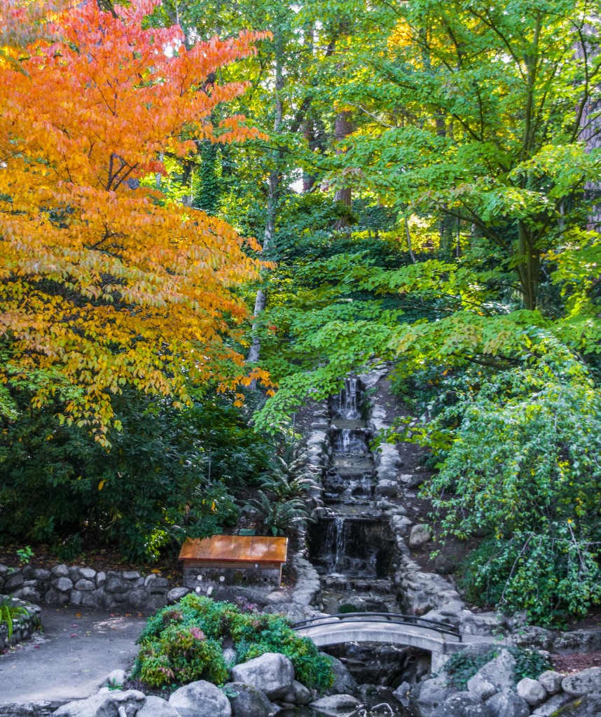 Ashland_Lithia Park-151