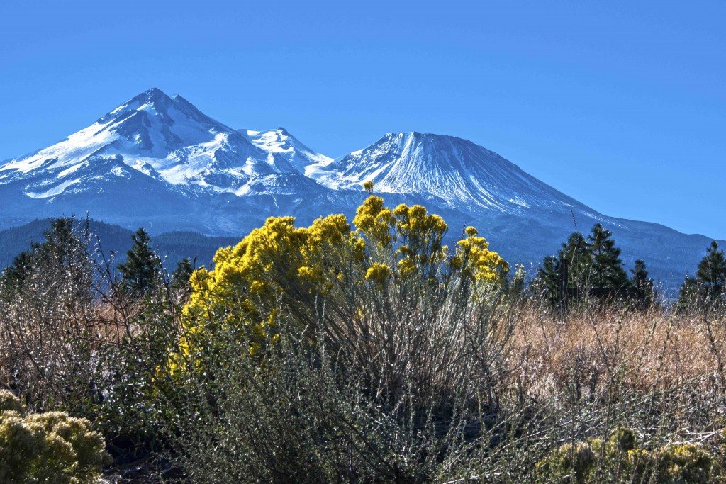 Mt Shasta-25-Edit