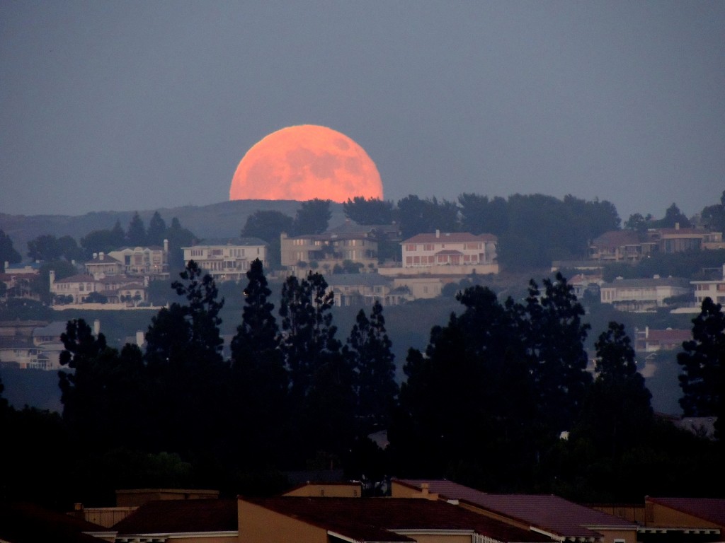 Moonrise from Galaxy Park — Photo by Yana Bridle ©