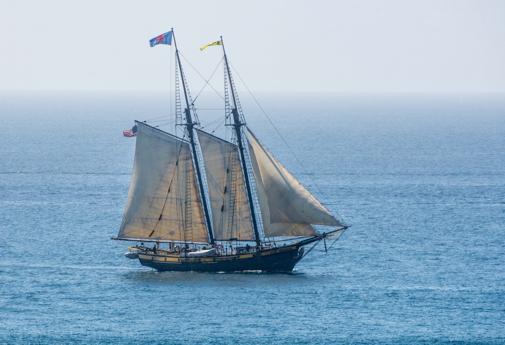 The Pilgrim Sailing