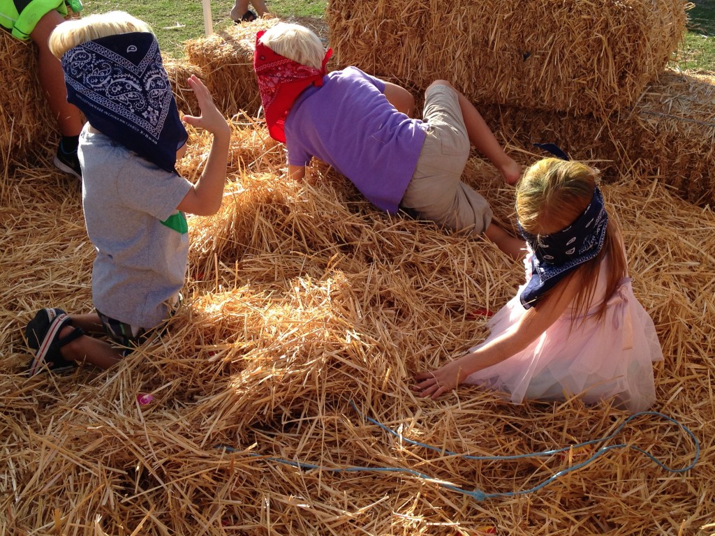 Mariners Christian School students play in the hay at the Fall Festival. — Photo by Debra Biagiotti ©
