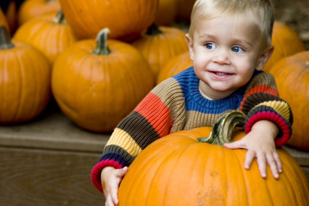 Jack Shafiyoon, 1 1/2, chooses his pumpkin during a previous Fall Faire at the Environmental Nature Center. — Photo by Sara Hall ©