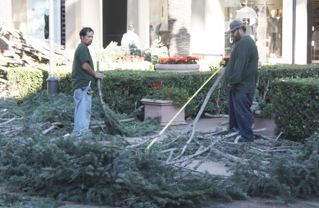 Workers install the Fashion Island Christmas tree — NB Indy photo ©