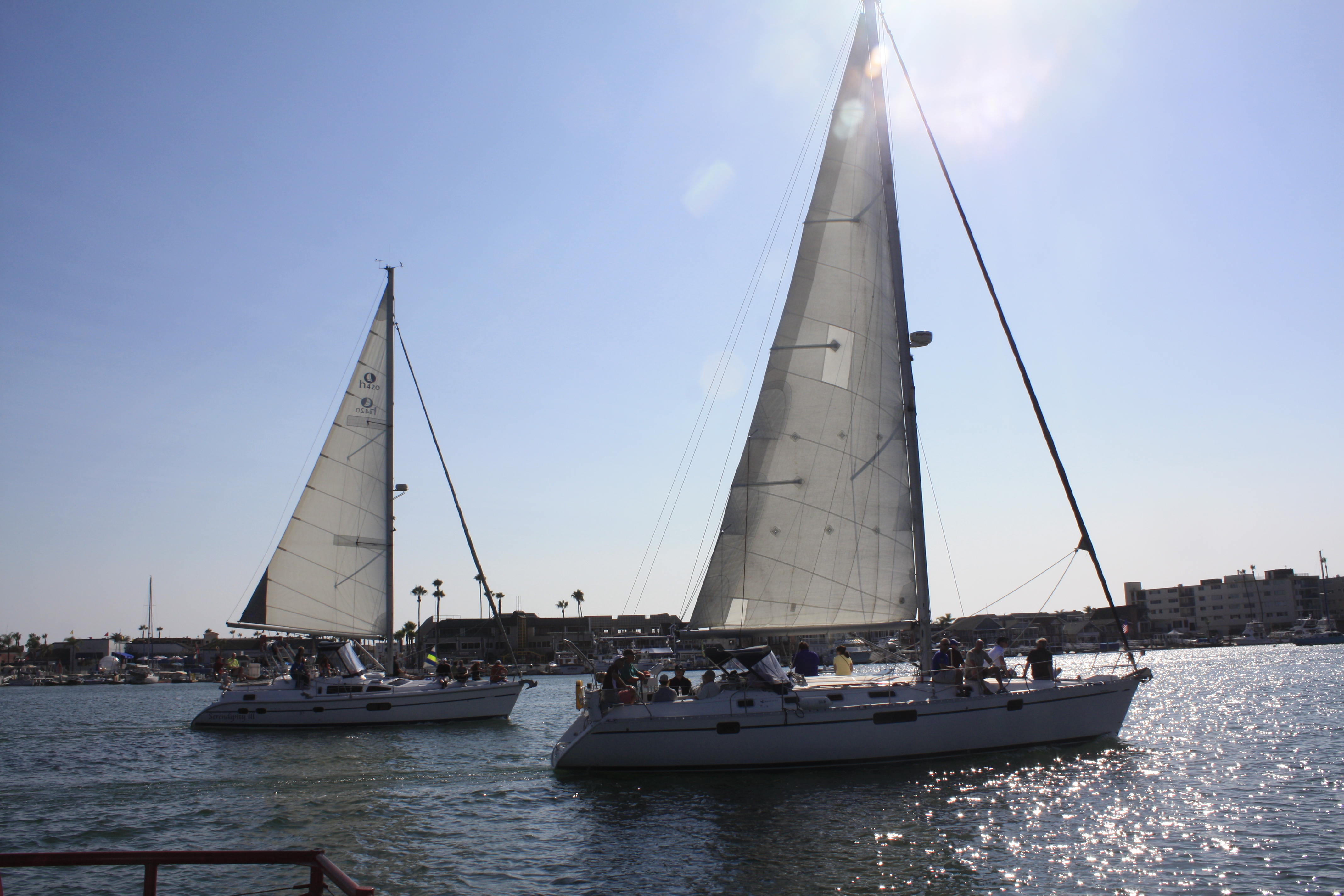Sailboats in Newport Harbor
