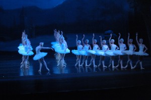 Swan Lake Swan Line